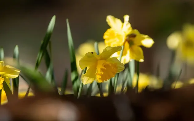 Vejers Strand Camping Paaske