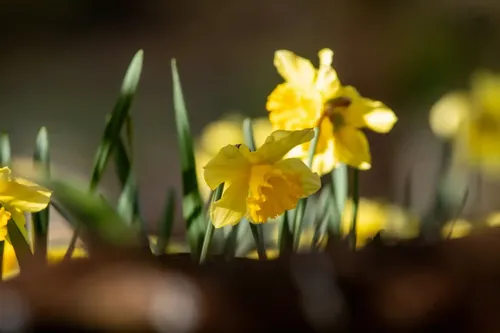 Vejers Strand Camping Paaske