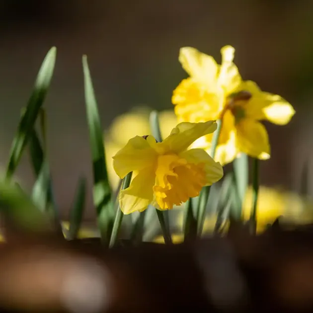 Vejers Strand Camping Paaske