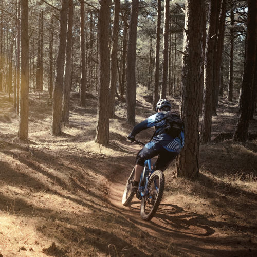 Vejers Strand Camping Natur Skov Mountainbike