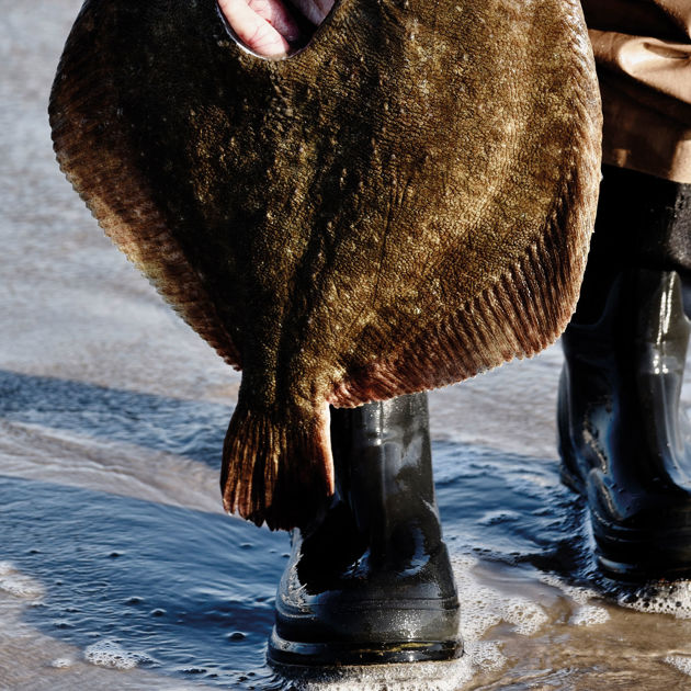 Vejers Strand Camping Natur Strand Fiskeri Pigvar Støvler