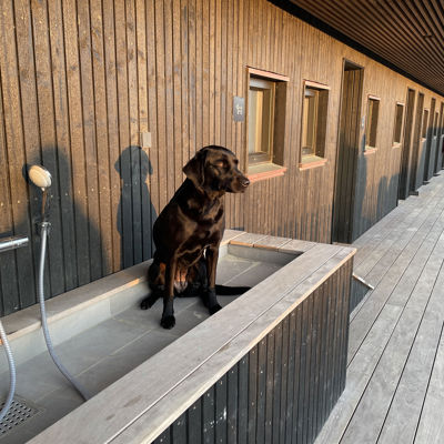 Vejers Strand Camping Pladsen Facilitet Hund Hundebad